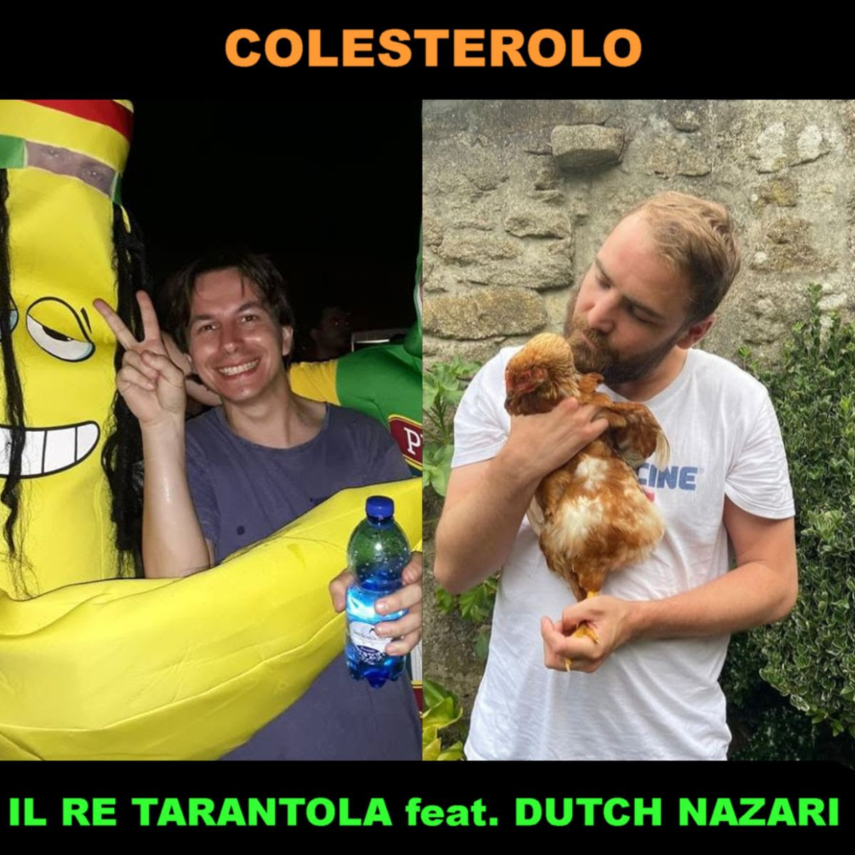 re tarantola colesterolo