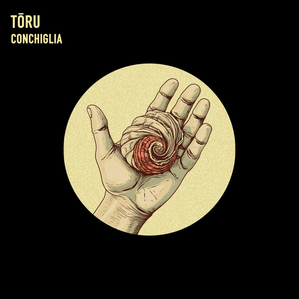  Tōru  - Conchiglia