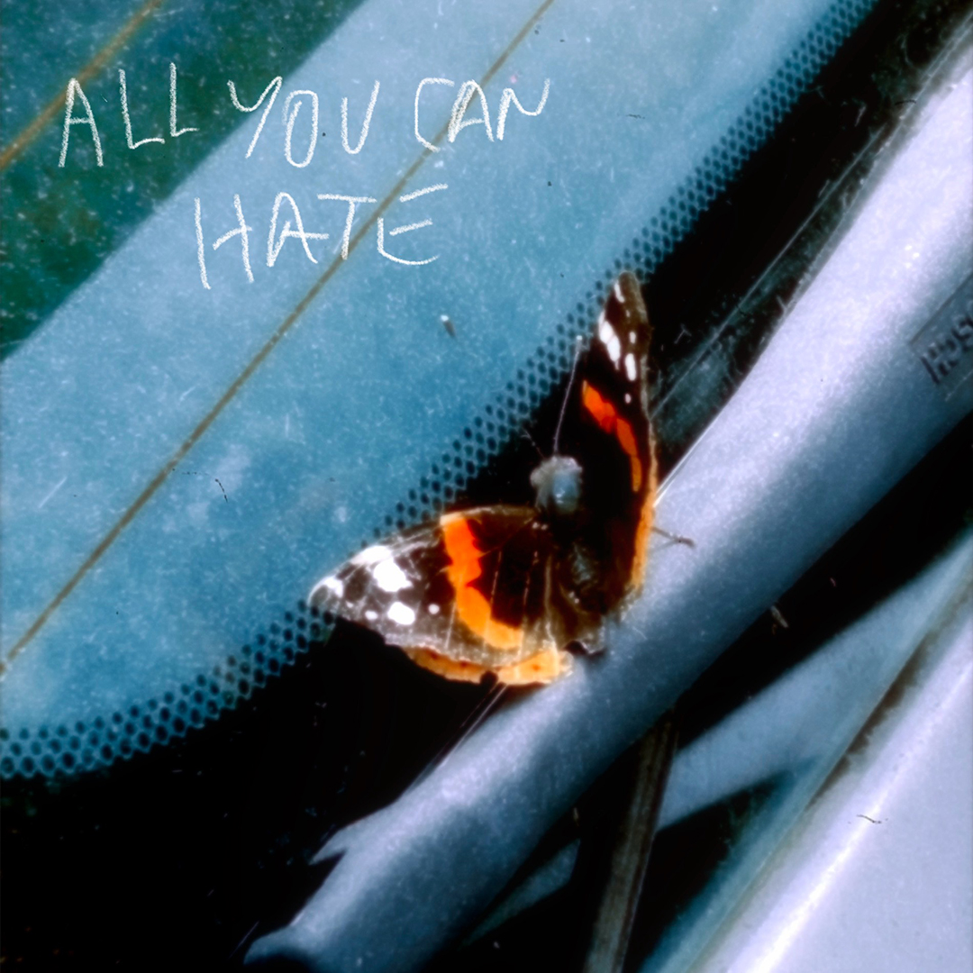 All You Can Hate - Nothing Lasts Forever